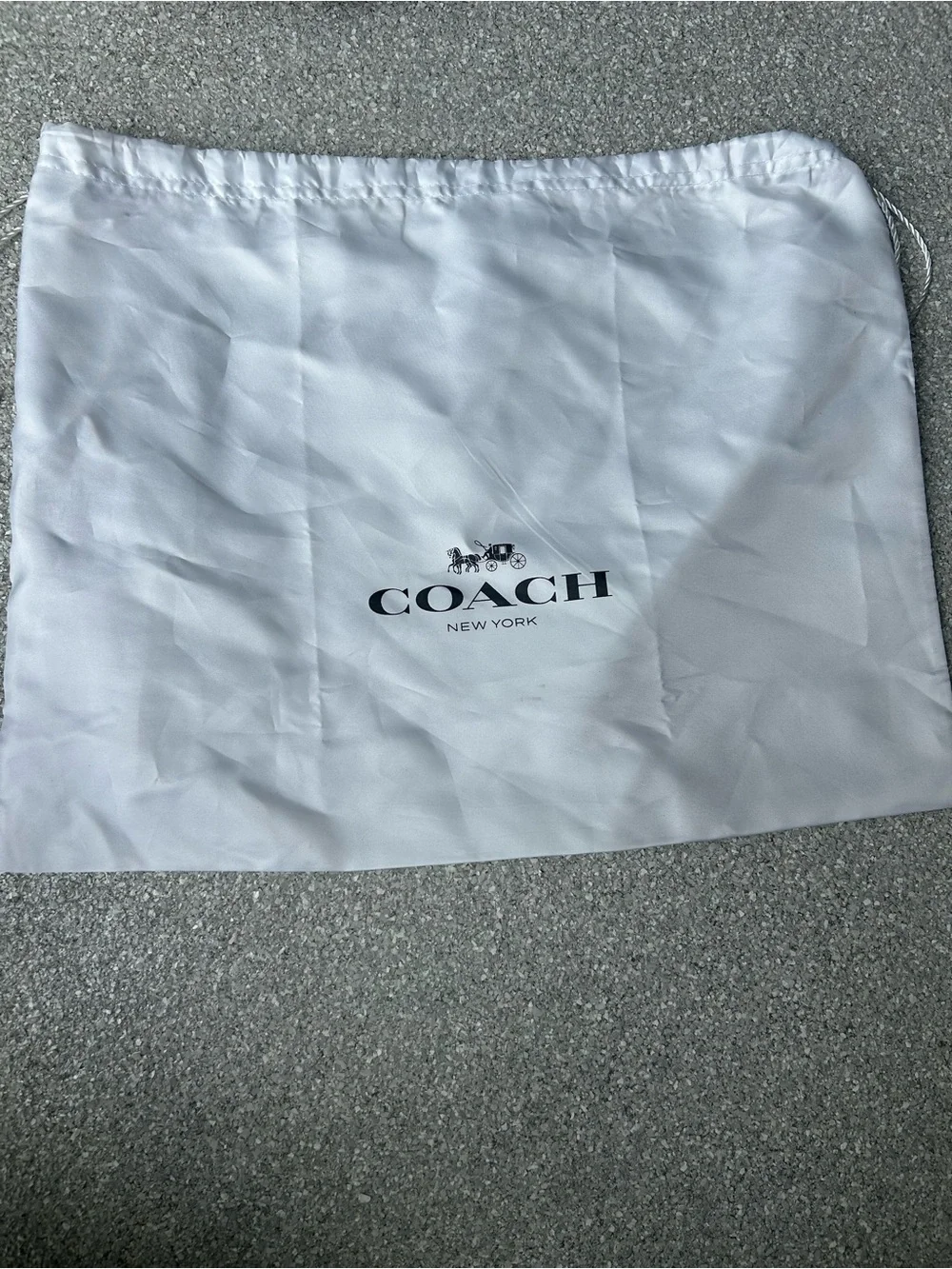 Coach Madison Metallic Silver Gathered Leather Hobo Bag and Wallet & Dust Bag